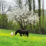 Bauernhof Lo Smarrino Gubbio