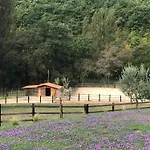 Lo Smarrino Gubbio