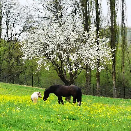Vakantieboerderij Lo Smarrino Gubbio