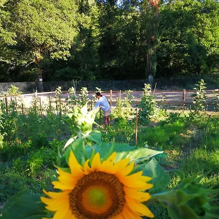 Lo Smarrino Vakantieboerderij Gubbio