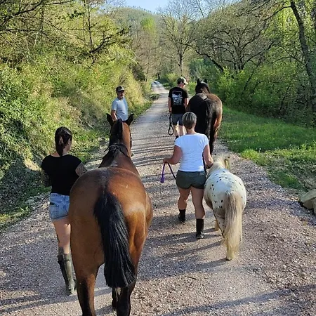 Alojamento de Turismo Rural Lo Smarrino Gubbio