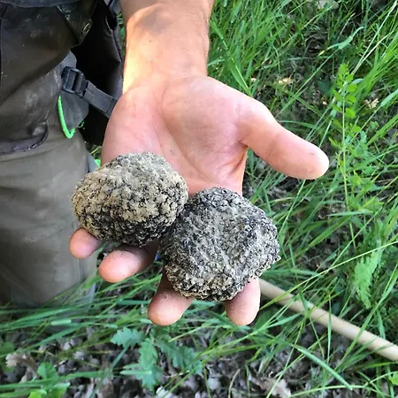 Vakantieboerderij Lo Smarrino *